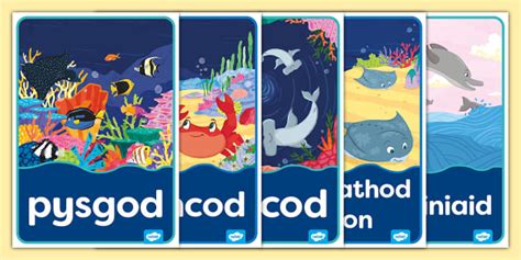 Creaduriaid y Môr: Posteri (teacher made) - Twinkl