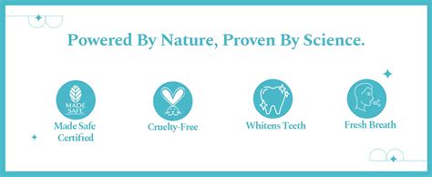 Buy Tooth Whitening Toothpaste Without SLS - Perfora Dream White Combo ...