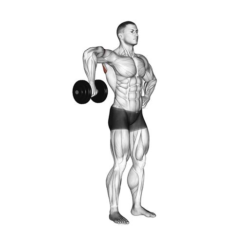 6 Best Infraspinatus Exercises (with Pictures!) - Inspire US