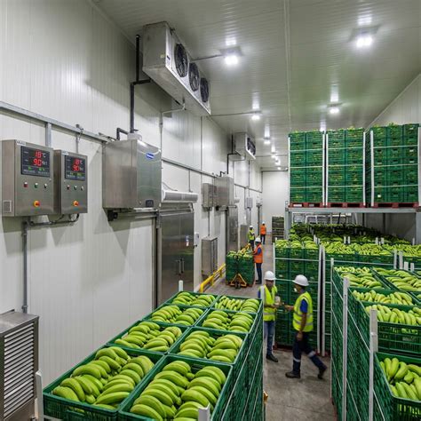 Automatic Banana Ripening Chambers | Ethylene Control Systems | Pulux ...
