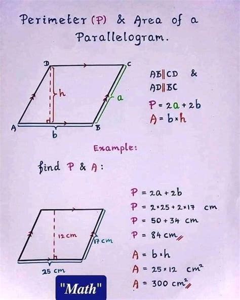 Graphs of Different Types of Functions Maths 的图像结果