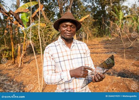 Agriculture in Africa 的图像结果