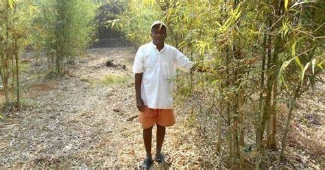 Farmers in Maharashtra’s Konkan area have struck (green) gold with ...