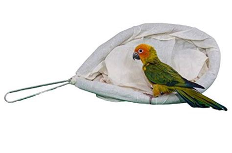 Taiyo Pluss Discovery Bird CATCHING NET - Finch - Canary - Budgie ...