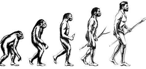 Men Evolution Chart 的图像结果