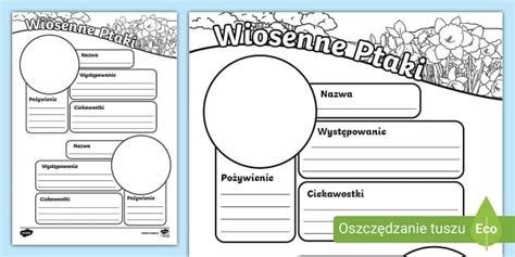 Wiosenne ptaki | Karta pracy o wiosennych ptakach - Twinkl