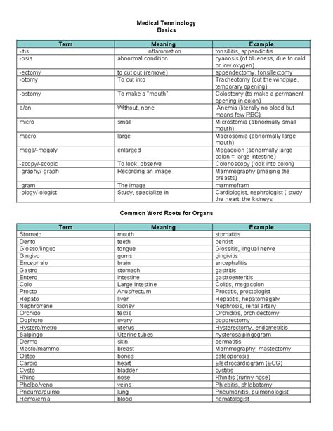 Medical Terminology - Basics Term Meaning Example -itis inflammation ...