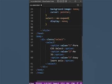 Image result for Chosen HTML/CSS