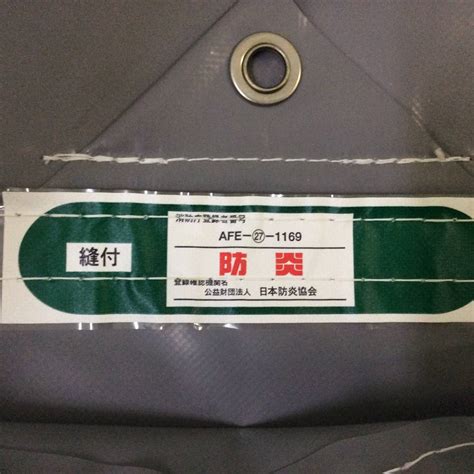 Image result for Turtle Design Ideas Python