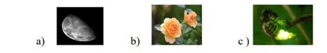 Identify following figures as luminous and non luminous object ...