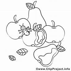 ausmalbilder erwachsene obst zum ausmalen obst ausmalbilder erwachsene obst zum ausmalen obst