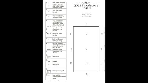 Image result for USDF Intro Test A