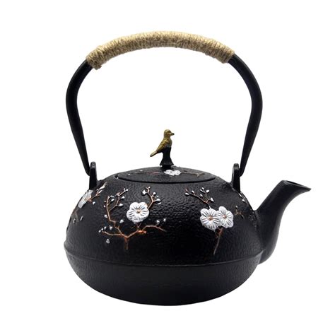 Cast Iron Teapot, Japanese Style Tetubin, Tea Kettle with Removable ...