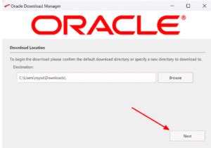 Oracle Client 19C 的图像结果