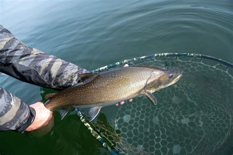 Lake Billy Chinook Guided Fly Fishing Trips — Central Oregon Guided Fly ...