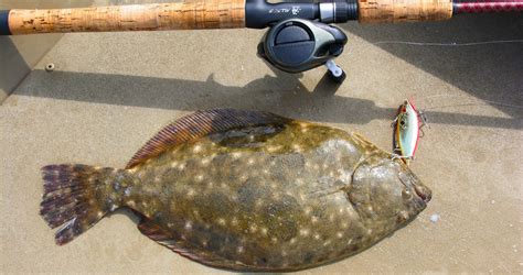 Reminder: Texas flounder fishery closed through Dec. 14