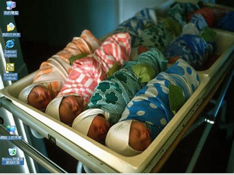 Baby Factory Scene Explained 的图像结果