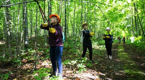 Forestry 的图像结果