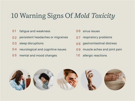 10 Warning Signs Of Mold Toxicity You Shouldn't Ignore
