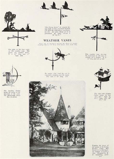 Metal Weather Vane Flying Pig Weather Vane - Stainless Steel, 55cm X ...