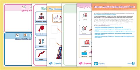 Science Sign Twinkl 的图像结果