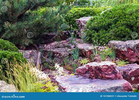 Image result for Alpine Slide