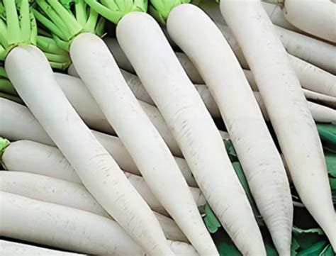 Kesarinandana Agri Genetic