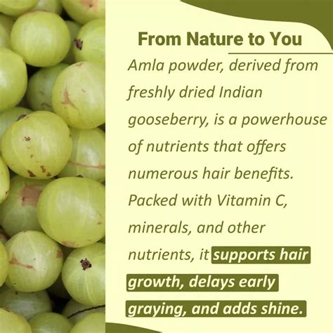 Natural Amla Powder For Strong, Shiny Hair | MINATURE – minaturewellness