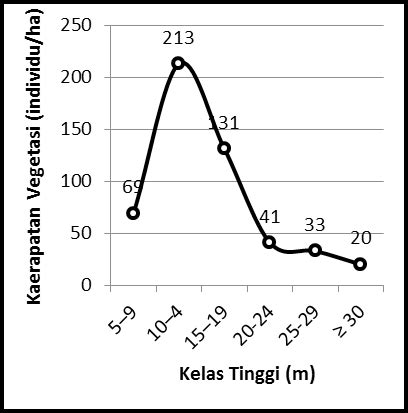 Forest Structure 的图像结果