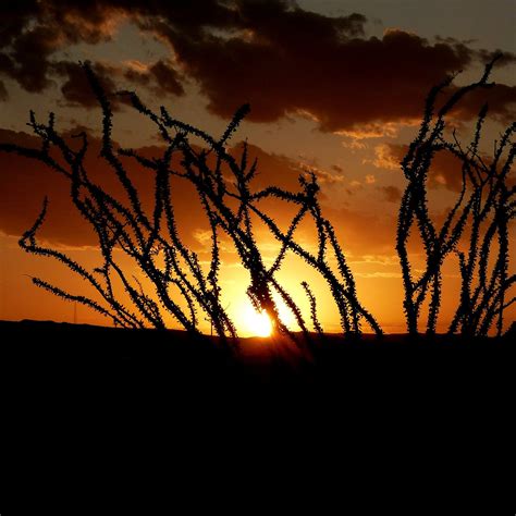 OCOTILLOS VILLAGE (Terlingua) - Campground Reviews & Photos - Tripadvisor