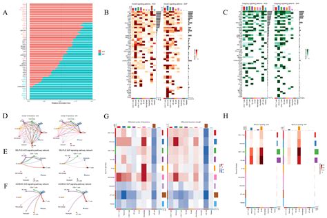 SSL5-AnxA5 Fusion Protein Constructed Based on Human Atherosclerotic ...