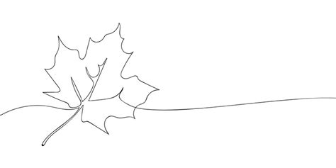 Image result for Single Line Maple Tree Drawing