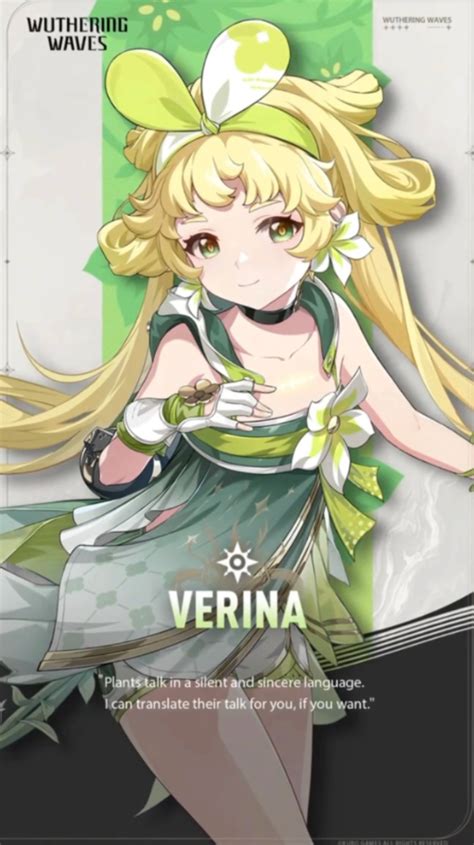 Wuthering Waves Characters Tier List: Who Is The Best Character?