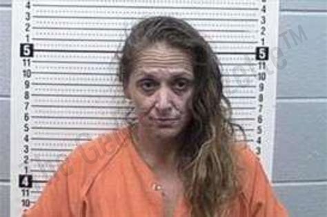 Heather McDaniel — Tattnall County Jail Bookings