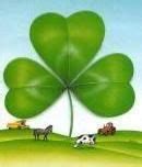 Fiera Zootecnica detta di San Gaetano 2019