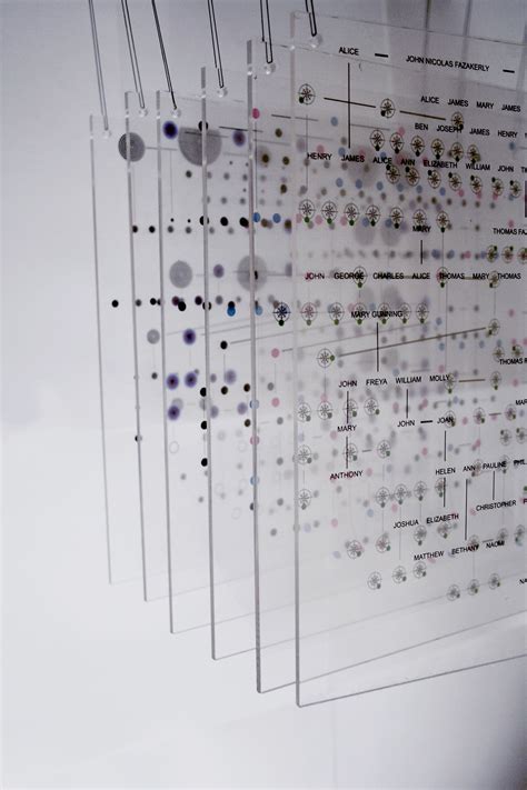 Image result for Family Tree Infographic