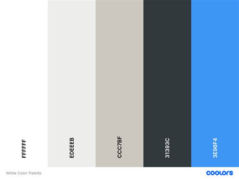 10 Aesthetic Color Palettes For Service Providers