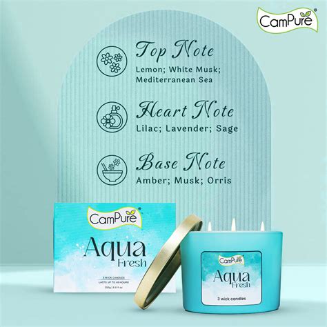 Benefits of Burning Camphor in the House – House of Mangalam