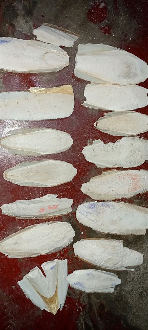 Buy Cuttlefish Bones For Birds Cuttlebones Calcium Supplement (Broken ...