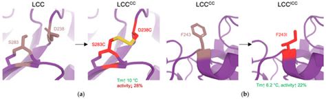 Protein Engineering for Industrial Biocatalysis: Principles, Approaches ...