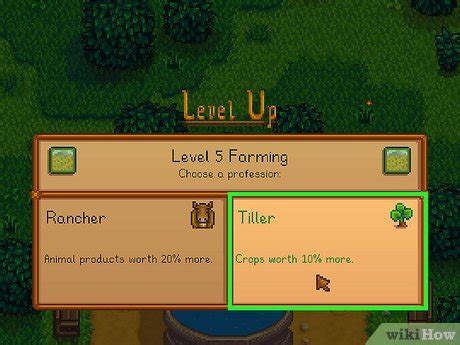 Rancher or Tiller in Stardew Valley: What to Choose