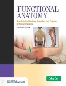 Functional Anatomy: Musculoskeletal Anatomy, Kinesiology, and Palpation ...