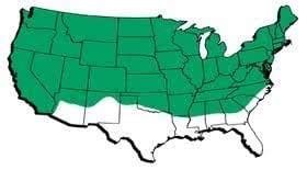 The Dirty Gardener Kenicott Creeping Red Fescue Lawn Grass - 10 Pounds ...