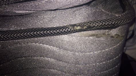 Royaloak Twin King Size Mattress in PU Foam with Spring and Pillow Top ...