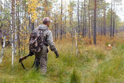 Image result for Elk Hunting Backpack