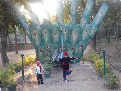 Lion Safari at Chhatbir Zoo - Reviews, Photos - ChhattBir Zoo - Tripadvisor