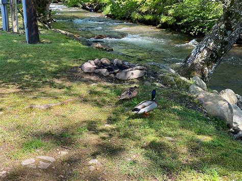 HAPPY HOLIDAY CAMPGROUND (Cherokee) - Campground Reviews & Photos ...