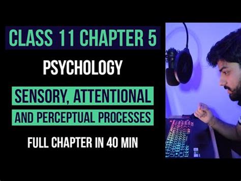 Sensory: Attentional and Perceptual Processes Video Lecture - Crash ...