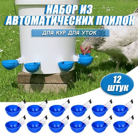 Набор из 12 синих автоматических поилок для кур, для уток, гусей ...