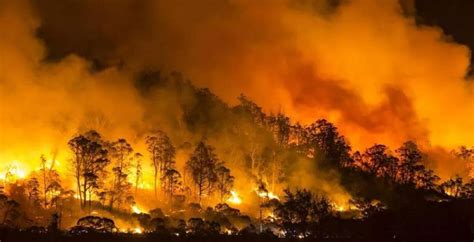 直接经济损失每天5000万澳元!澳洲持续四个多月的山林大火，为啥总是扑不灭?_火灾